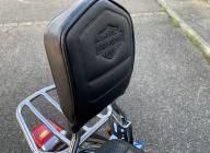 HARLEY-DAVIDSON DYNA LOW RIDER 1690